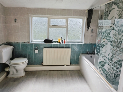 Picture 11